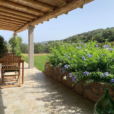 Macciuneddu Country Retreat Golfo Aranci Dış mekan fotoğraf