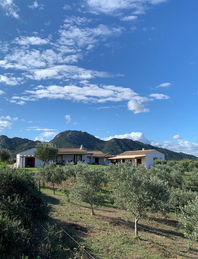 Macciuneddu Country Retreat Golfo Aranci Dış mekan fotoğraf