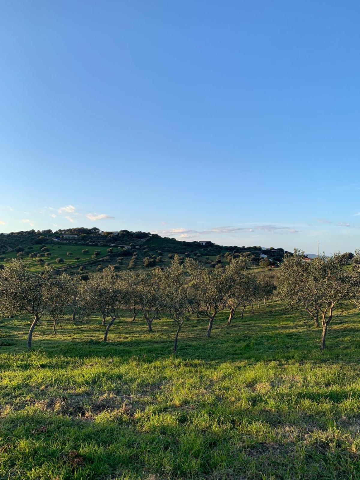 Macciuneddu Country Retreat Golfo Aranci Dış mekan fotoğraf